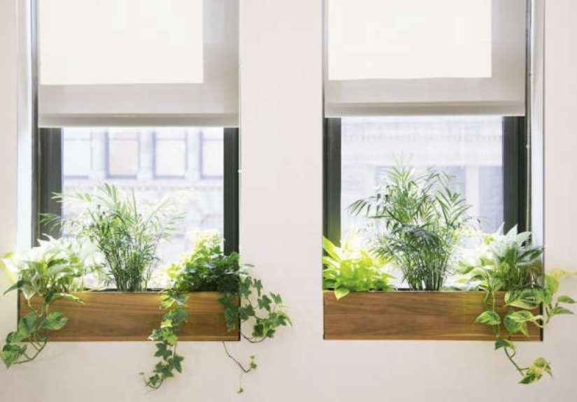 Happy at Work: Trending on Gardenista