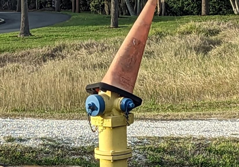 Hey Pandas, Show Me The Most Random Thing You Found On The Side Of The Road