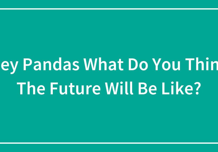 Hey Pandas, What Do You Think The Future Will Be Like? (Closed)