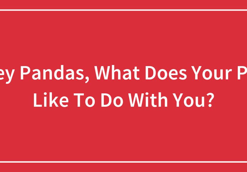 Hey Pandas, What Does Your Pet Like To Do With You?