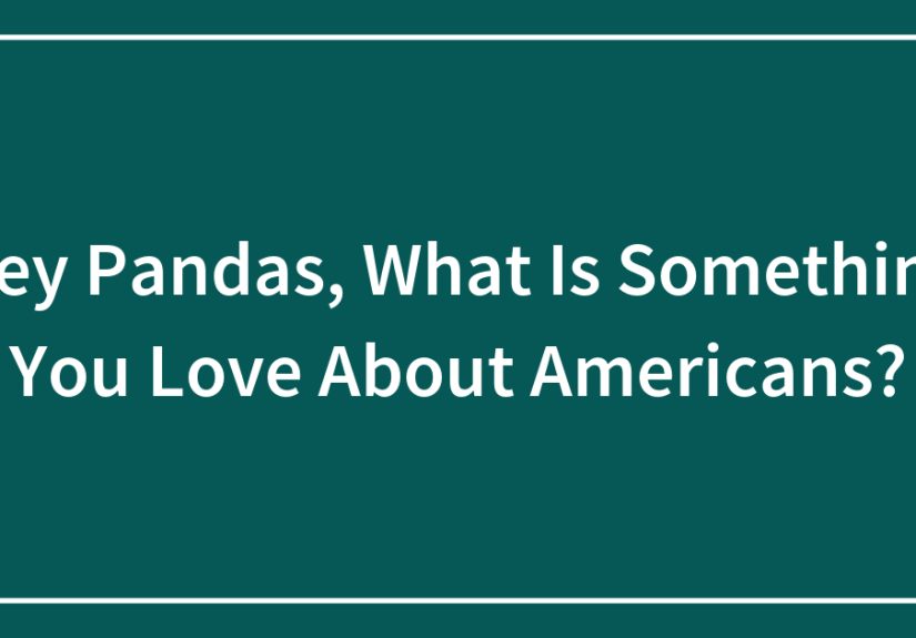 Hey Pandas, What Is Something You Love About Americans?