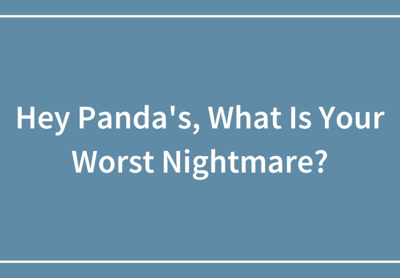 Hey Pandas, What Is Your Worst Nightmare?