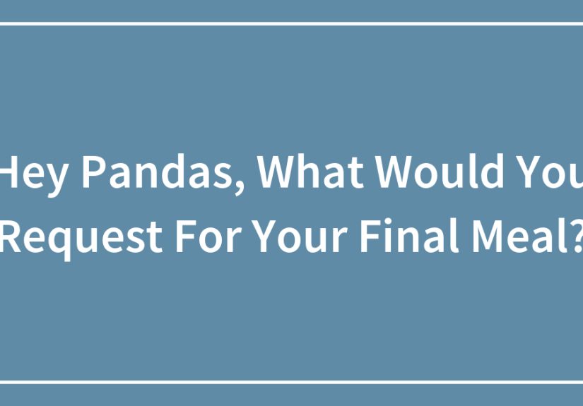 Hey Pandas, What Would You Request For Your Final Meal?