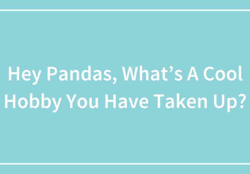 Hey Pandas, What’s A Cool Hobby You Have Taken Up?