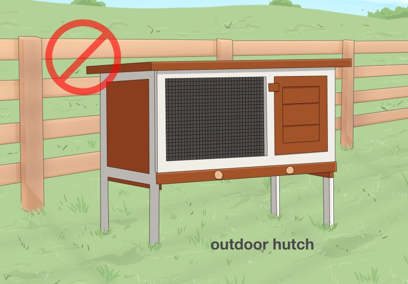 How to Build a Rabbit Hutch: 14 Steps