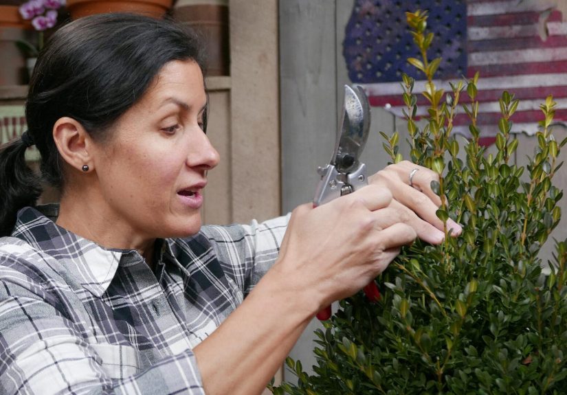 How To Choose and Use Pruners