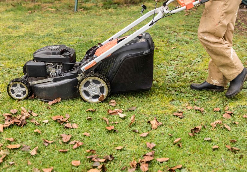 How to Cut Your Lawn Before Winter for a Healthier Yard Next Spring