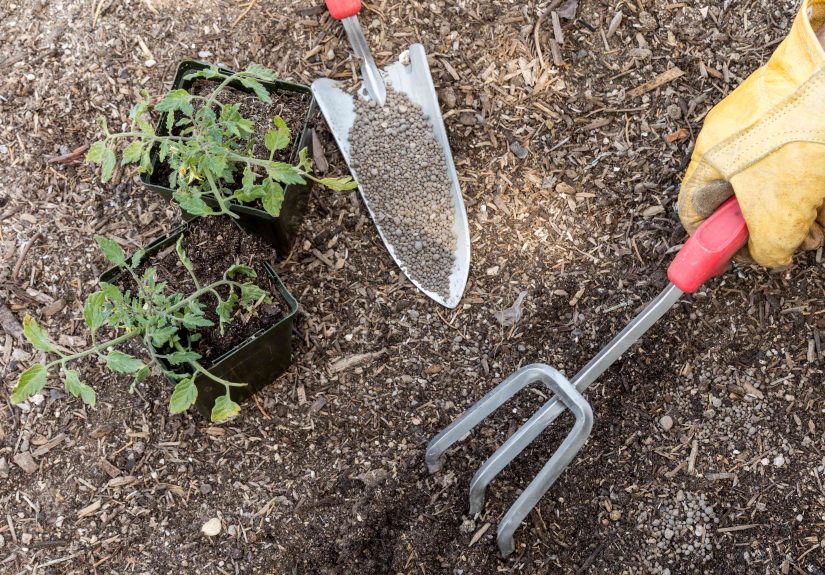 How to Raise the pH of Soil