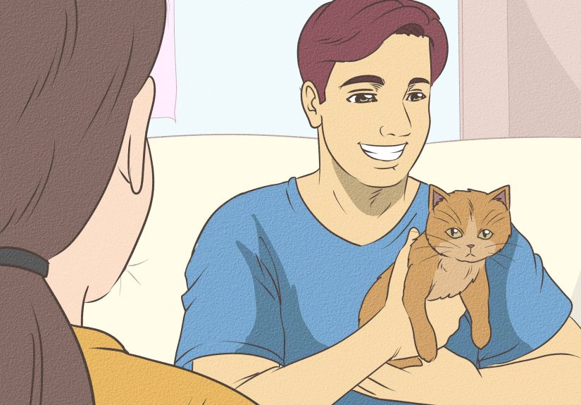 How to Tame a Cat