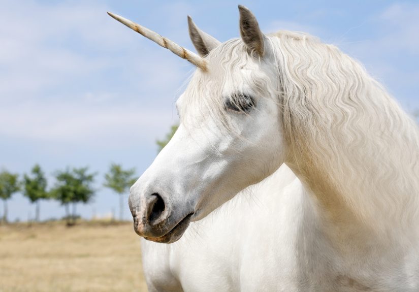 Is work-life balance for physicians a unicorn?
