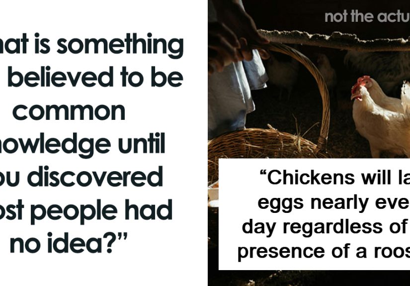 “It Seems To Blow People’s Minds”: 48 Pieces Of Common Knowledge People Realized Weren’t So Common