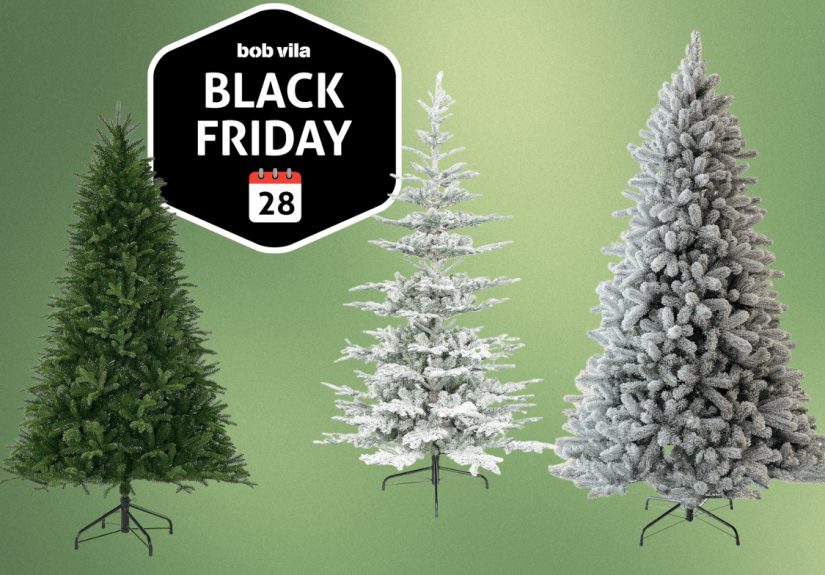 King of Christmas Trees Are 40% Off Ahead of Black Friday