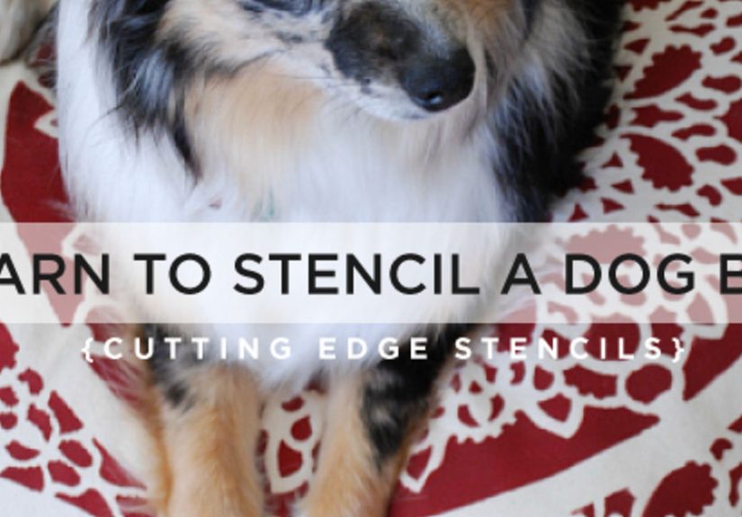 Learn How To Stencil A Dog Bed!