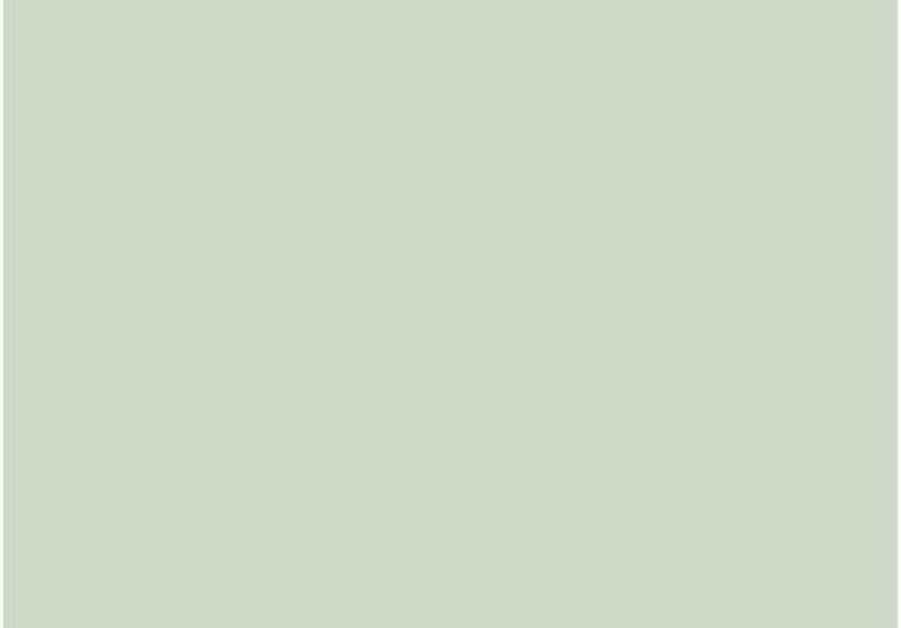 Pale Powder No. 204 Paint