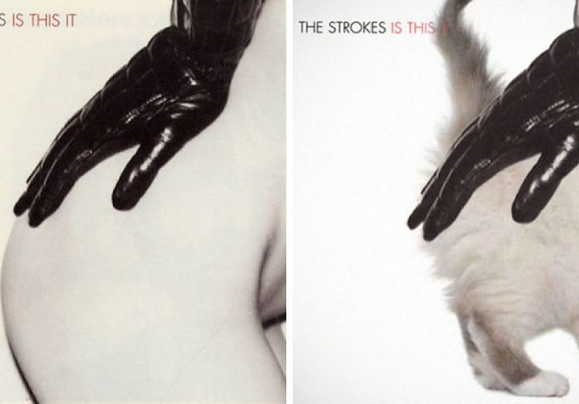 Someone Is Replacing Musicians With Cats In Famous Album Covers, And Result Is Better Than Original
