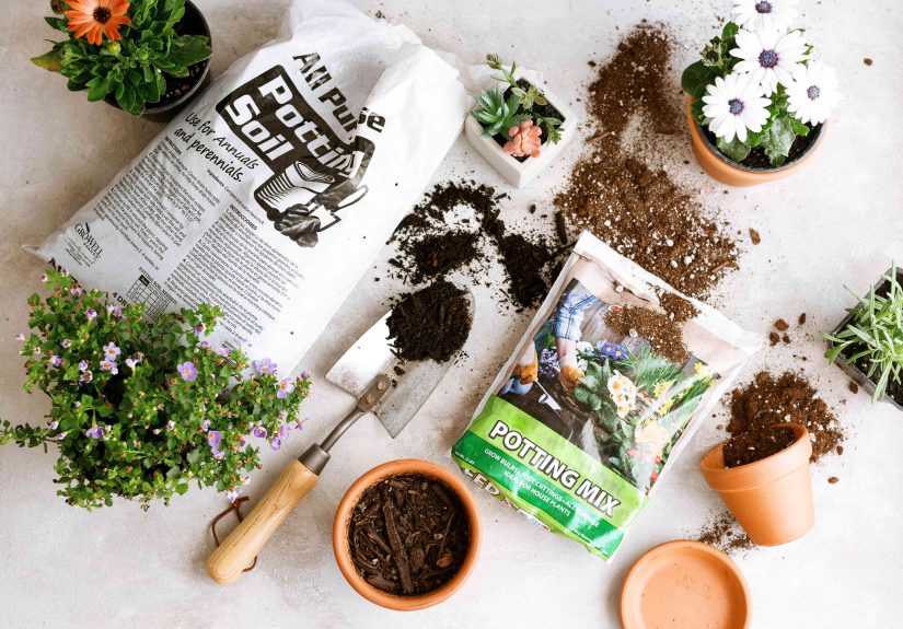The Difference Between Potting Soil and Potting Mix