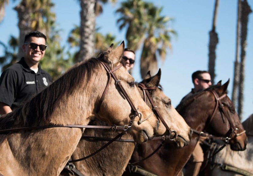 The Space Force Has a Space Horse