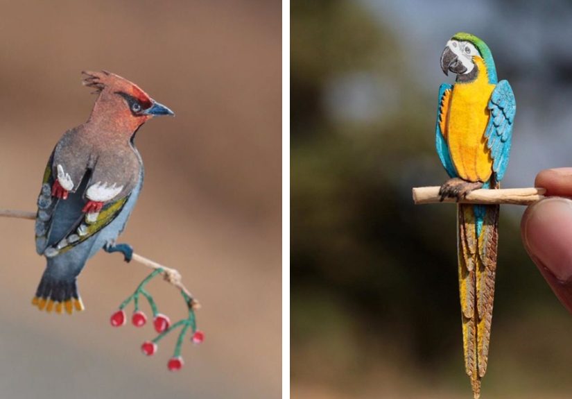 We’ve Been Creating Miniature Paper Birds Every Day For An Entire Year