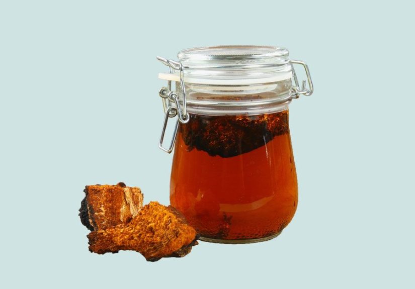 Chaga Mushroom: Uses, Benefits and Side Effects