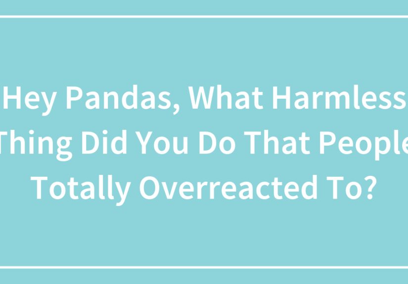 Hey Pandas, What Harmless Thing Did You Do That People Totally Overreacted To?