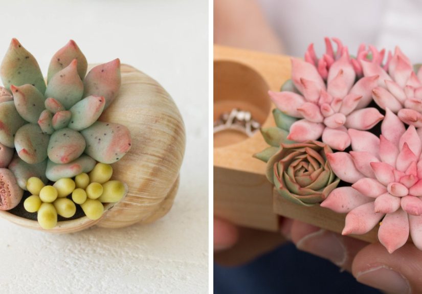 I Create Succulent-Inspired Home Decor Using Snail Shells Which I Found In The Countryside