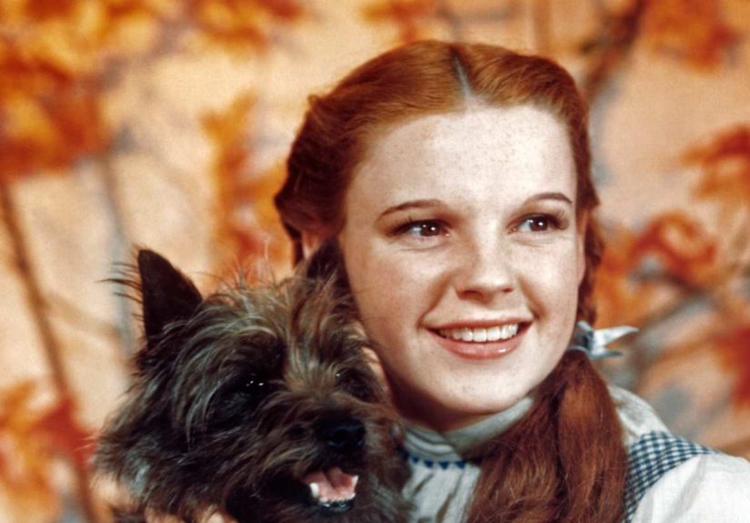 Lyric Sketch to “Over the Rainbow” and Other “Oz” Artifacts Are Now With the Library of Congress