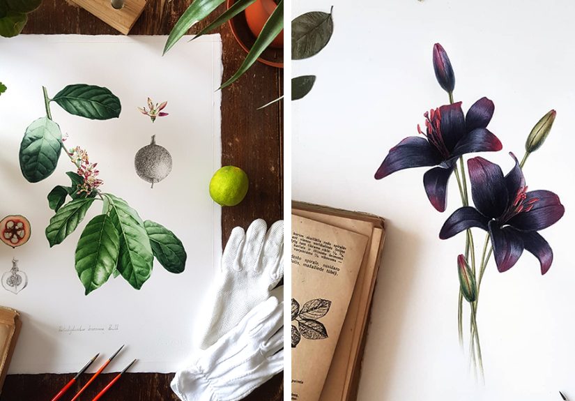 My Botanical Watercolor Illustrations Focus On Plants I Grow In My Own Garden, And Here Are My 37 Best Works