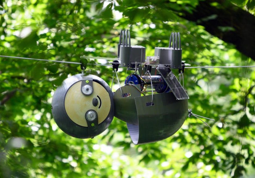 This “SlothBot” Could Change Conservation Forever
