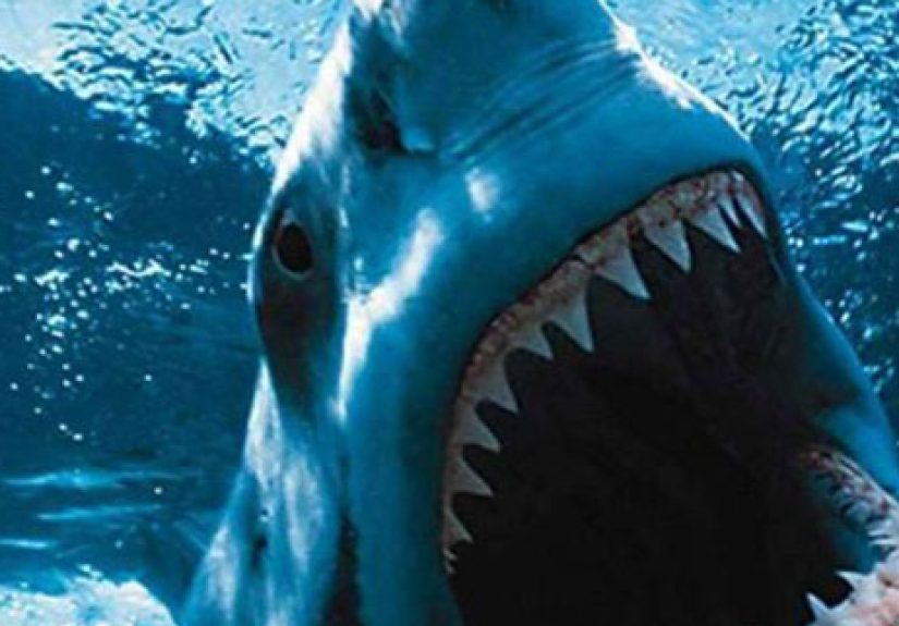 Top 10 Horror Movies