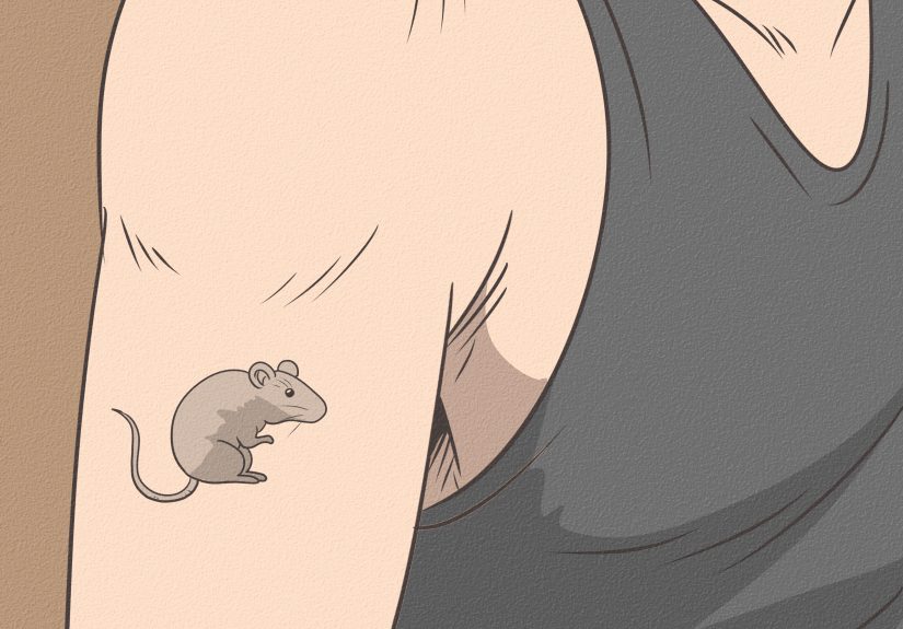 What Does a Mouse Mean Spiritually?