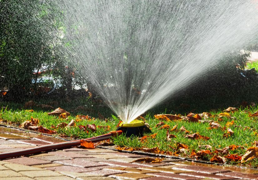 When You Should Stop Watering Your Lawn in the Fall